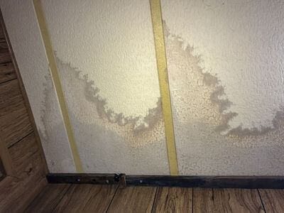 Professional water damage restoration services in Culver City - SurgeRise Co