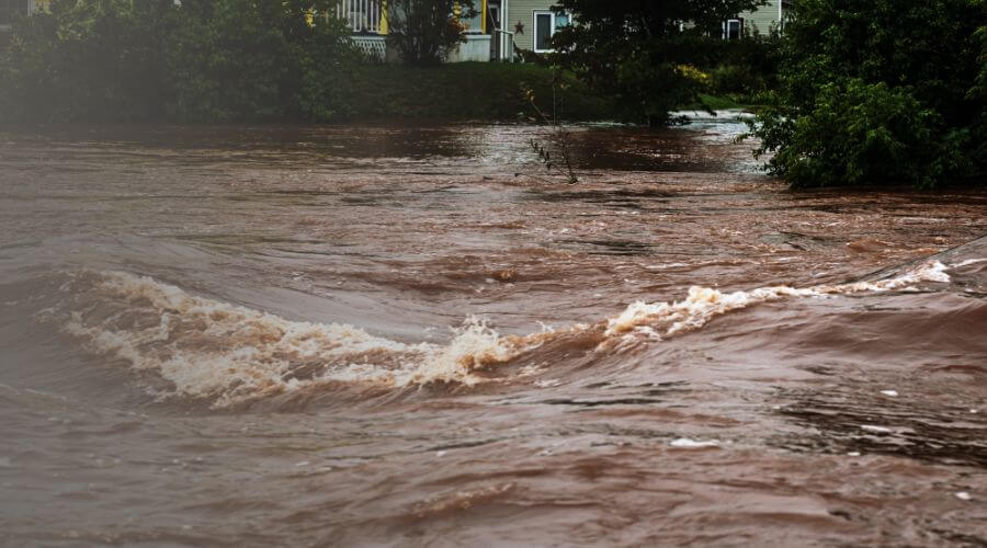 Why choose SurgeRise Co for water damage restoration in Culver City